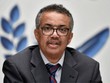 Tổng giám đốc WHO Tedros Adhanom Ghebreyesus. (Nguồn: indiatimes).
