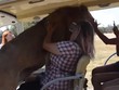 Cứ tưởng lao vào xe làm cái gì hóa ra con sư tử chỉ muốn được âu yếm, vỗ về.