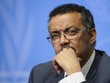 Người đứng đầu Tổ chức Y tế Thế giới (WHO) Tedros Adhanom Ghebreyesus. Ảnh: Getty.