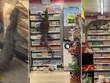 Cuộc đổ bộ của kỳ đà "Godzilla" vào cửa hàng tiện dụng 7-Eleven ở Thái Lan