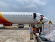 Cùng Vietjet chung tay xuất khẩu và tiêu thụ vải thiều Bắc Giang
