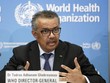 Tổng giám đốc WHO Tedros Adhanom Ghebreyesus (Ảnh: Getty).