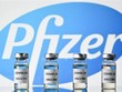 Vaccine do hãng dược Pfizer nghiên cứu và sản xuất (Nguồn:TTXVN).