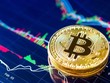 Giá Bitcoin hôm nay ngày 25/8: Thị trường tiền điện tử lại giảm mạnh