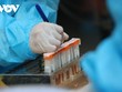 Bộ Y tế yêu cầu xét nghiệm thần tốc nhằm sớm kiểm soát dịch.