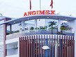 Biên lợi nhuận của Angimex thấp hơn nhiều so với các doanh nghiệp cùng ngành.