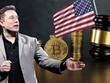 Tỷ phú Elon Musk: Tiền điện tử không thể bị phá hủy và Mỹ nên từ bỏ những nỗ lực điều tiết thị trường