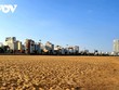 Bãi biển tại thành phố Quy Nhơn.