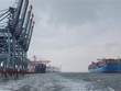 Cảng Quốc tế Cái Mép. (Ảnh: Ngọc Sơn/TTXVN).