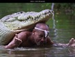 Chuyện lạ người đàn ông kết bạn và bơi cùng cá sấu khổng lồ trong suốt 23 năm
