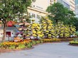 Tiểu cảnh tầng tầng, lớp lớp hoa tươi tạo điểm nhấn ấn tượng ven lối đi trên Đường hoa Nguyễn Huệ Tết Nhâm Dần 2022. (Ảnh: Mỹ Phương/TTXVN).
