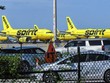 Máy bay của hãng hàng không Spirit Airlines tại Sân bay Quốc tế Orlando, Mỹ. (Nguồn: Getty Images).