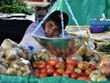 Một người bán rau, củ, quả tại chợ ở Tegucigalpa, Honduras. (Ảnh: AFP/TTXVN).