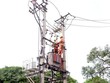 Điện lực thành phố Hải Dương tiến hành vệ sinh lưới điện, khắc phục các khiếm khuyết có nguy cơ xảy ra sự cố đối với đường dây cấp điện. (Ảnh: Mạnh Tú/TTXVN)