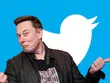 Giá Bitcoin hôm nay ngày 26/4: Niềm tin lại được thắp lên sau thỏa thuận mua lại Twitter của tỷ phú Elon Musk