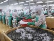 Dây chuyền chế biến tôm xuất khẩu. (Ảnh: Vũ Sinh/TTXVN).