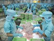 Thủy sản là một trong những ngành dự báo tăng trưởng cao trong quý II.