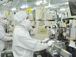Sản xuất linh kiện bán dẫn tại Công ty MTEX Nhật Bản. (Nguồn: sggp.org.vn)
