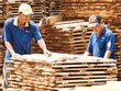 Xuất khẩu các sản phẩm từ gỗ đang giảm tốc.