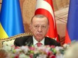 Tổng thống Thổ Nhĩ Kỳ Tayyip Erdogan. Ảnh: Upi.com.