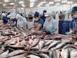 Trong kết luận cuối cùng đợt rà soát hành chính, Mỹ giữ nguyên mức thuế chống bán phá giá cá tra, basa nhập khẩu từ Việt Nam.