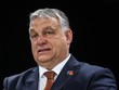 Thủ tướng Hungary Viktor Orban.