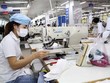 Công nhân làm việc trong xưởng may hàng xuất khẩu tại Garco 10, Tổng Công ty May 10. (Ảnh: Trần Việt/TTXVN)