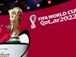 Người hâm mộ Việt Nam được xem trực tiếp World Cup 2022 (Ảnh: FIFA).