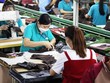 Công nhân làm việc tại nhà máy Công ty TNHH Giày Gia Định, thành phố Thủ Đức (Thành phố Hồ Chí Minh). (Ảnh: Hồng Đạt/TTXVN)