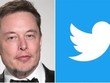 Tỷ phú Elon Musk và biểu tượng Twitter. (Ảnh: Mega/TTXVN)