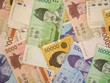Đồng won của Hàn Quốc. (Ảnh: freepik.com/TTXVN).