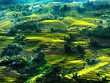 Ruộng bậc thang ở Hà Giang.