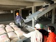 Xi măng sụt giảm tiêu thụ, nhiều nhà máy phải dừng lò