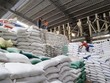 Giá gạo trên thị trường thế giới vẫn chưa có dấu hiệu giảm 