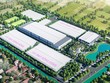 Quý II/2026: Lợi nhuận sau thuế của May Sông Hồng (MSH) vượt 203 tỷ đồng, tăng 13% so với cùng kỳ
