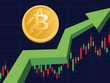 Bitcoin vượt mốc 80.000 USD: Dòng tiền từ các quỹ ETF nối dài đà tăng, thị trường bước vào vùng thử thách mới