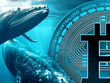 Bitcoin lùi bước trước áp lực chốt lời từ "cá voi"