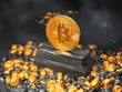 Bitcoin hướng đến quý III thành công nhất từ năm 2017