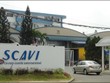 SCAVI vào Top 500 doanh nghiệp lớn nhất Việt Nam