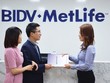 BIDV Metlife là một sự khác biệt trong mô hình liên doanh truyền thống