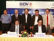 BIDV cam kết tài trợ tín dụng 600 triệu USD cho Vinatex