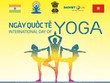 Bảo Việt Nhân thọ đồng hành cùng Ngày hội quốc tế Yoga Việt Nam 2016