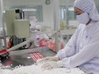 Sóng đầu tư nước ngoài đổ về các nhà máy thuốc