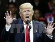 Tổng thống đắc cử Mỹ Donald Trump. (Nguồn: AP/TTXVN)