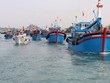 Nhằm gỡ “Thẻ vàng” khai thác thuỷ sản, Chính phủ duyệt Đề án Phòng, chống khai thác hải sản bất hợp pháp