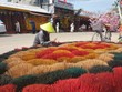 Làng hương xứ Huế hút khách du Xuân đầu năm