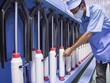 Tiềm năng ngành sợi và sự nắm bắt cơ hội tức thời của FTM