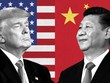 Ông Trump đổ lỗi cho Trung Quốc cản trở quá trình tái tranh cử Tổng thống