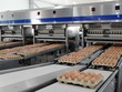 Dây truyền đóng gói trứng gà tự động
