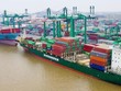 Container Việt Nam (VSC) hoàn tất mua 36% vốn tại CTCP Cảng VIMC Đình Vũ